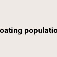 floating population是什么意思