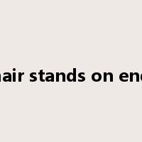 hair stands on end是什么意思