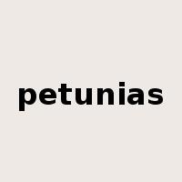 petunias是什么意思