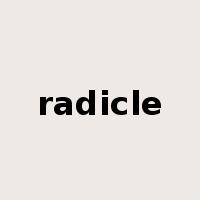 radicle是什么意思