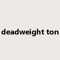 deadweight ton是什么意思