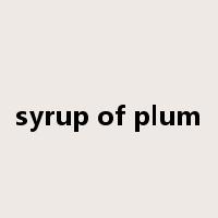 syrup of plum是什么意思