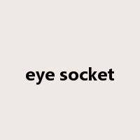 eye socket是什么意思