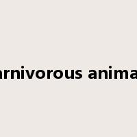 carnivorous animals是什么意思