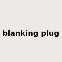 blanking plug是什么意思