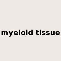 myeloid tissue是什么意思