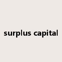 surplus capital是什么意思