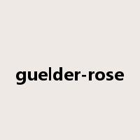 guelder-rose是什么意思
