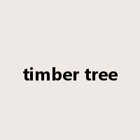 timber tree是什么意思