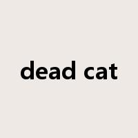 dead cat是什么意思
