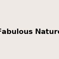 Fabulous Nature是什么意思