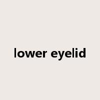 lower eyelid是什么意思