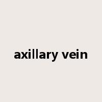 axillary vein是什么意思