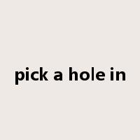pick a hole in是什么意思