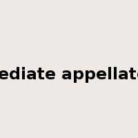 intermediate appellate court是什么意思