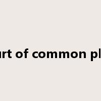 court of common pleas是什么意思