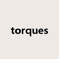 torques是什么意思