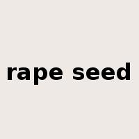 rape seed是什么意思