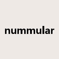 nummular是什么意思