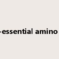 non-essential amino acid是什么意思
