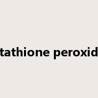 glutathione peroxidase是什么意思