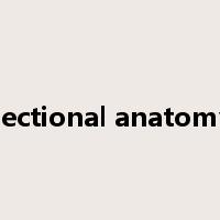 sectional anatomy是什么意思
