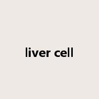 liver cell是什么意思