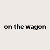 on the wagon是什么意思