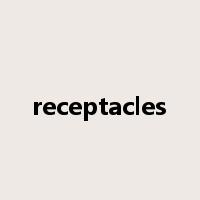 receptacles是什么意思