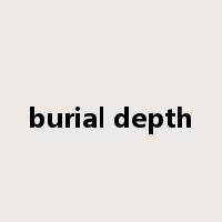 burial depth是什么意思
