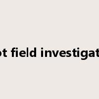 spot field investigation是什么意思