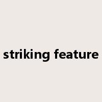 striking feature是什么意思
