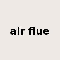 air flue是什么意思