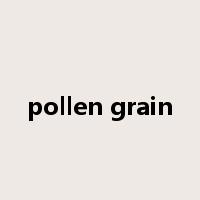 pollen grain是什么意思