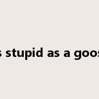 as stupid as a goose是什么意思