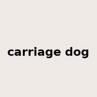 carriage dog是什么意思
