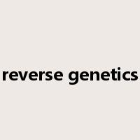 reverse genetics是什么意思