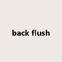 back flush是什么意思