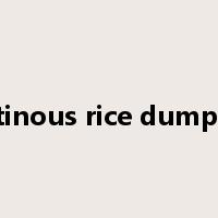 glutinous rice dumpling是什么意思