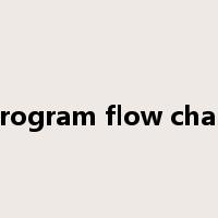 program flow chart是什么意思