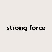strong force是什么意思