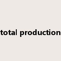 total production是什么意思