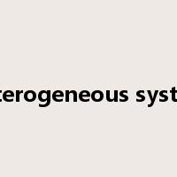 heterogeneous system是什么意思