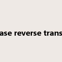 telomerase reverse transcriptase是什么意思