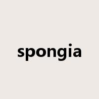 spongia是什么意思