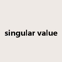 singular value是什么意思