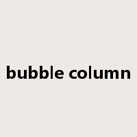 bubble column是什么意思