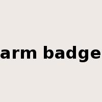 arm badge是什么意思