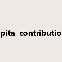 capital contributions是什么意思