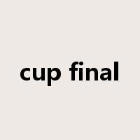 cup final是什么意思